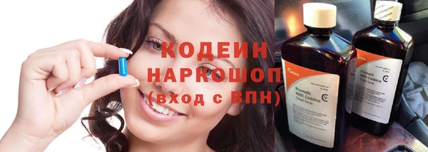 дживик Няндома