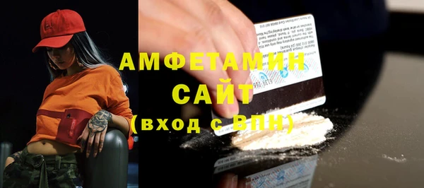 дживик Няндома
