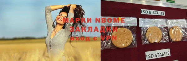 дживик Няндома