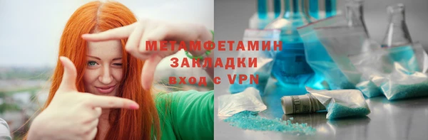 сатива Новокубанск