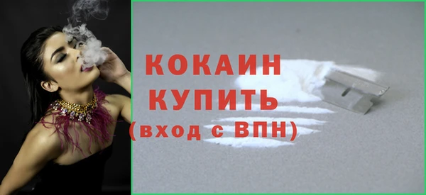 дживик Няндома