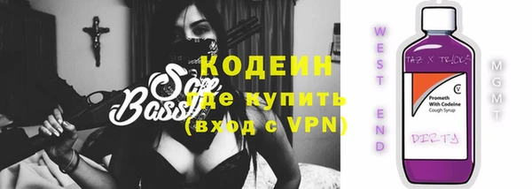 дживик Няндома