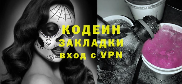 дживик Няндома