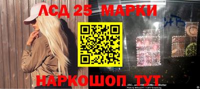 стафф Камышлов