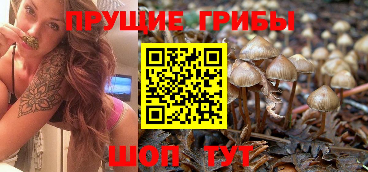 Псилоцибиновые грибы Magic Shrooms Магадан