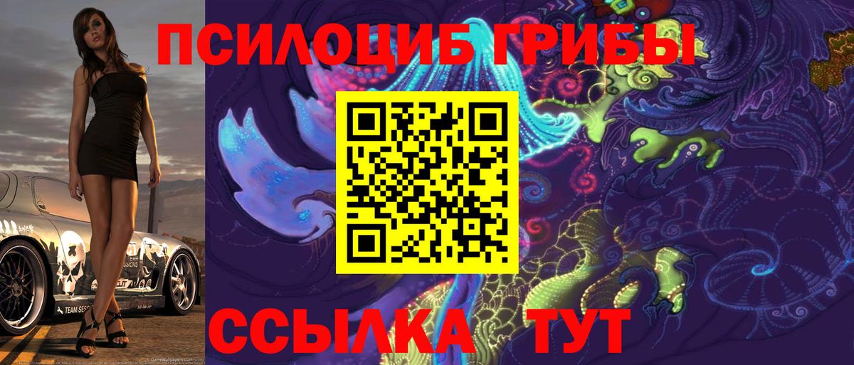 Галлюциногенные грибы Psilocybe Магадан