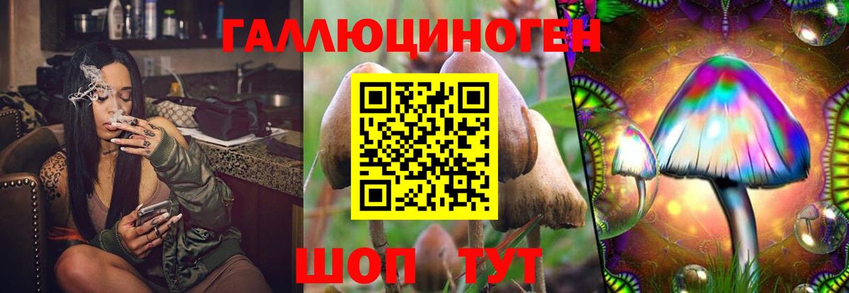 Псилоцибиновые грибы мицелий  купить  сайты  Псилоцибиновые грибы Magic Shrooms  Магадан  Вход с VPN 